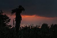 Messengers 2 - The Scarecrow [DVD], 4