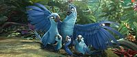 Rio 2 - Dschungelfieber [DVD], 7