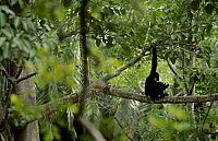 Wildes China [Blu-ray], 5