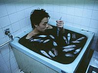 Uncle's Paradise [DVD], 2