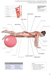 Ohne Geräte - Muskeltraining 50+, 8