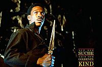 Auf der Suche nach dem goldenen Kind [DVD], 1