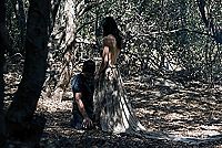 Perfide [Blu-ray], 7