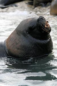 Patagonien - Von Camarones bis Darwins Rock [Blu-ray], 7