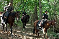 Detective K - im Auftrag des Königs [DVD], 7