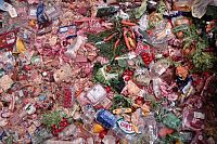 Taste the Waste [DVD], 5