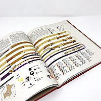 Rom verstehen - Das Römische Reich in Infografiken, 2