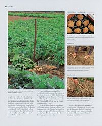 Der moderne Gemüsegarten, 1