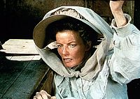 African Queen [DVD], 2