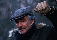 Aaron und der Wolf [DVD], 2