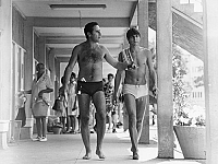 Zur Sache Schätzchen [Blu-ray], 1