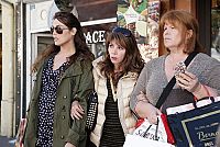 Ziemlich dickste Freundinnen [DVD], 4