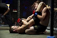 The Philly Kid [DVD], 1