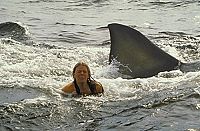 Der weisse Hai 2 [Blu-ray], 3