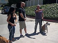 National Geographic - Notruf Hund  [DVD], 4