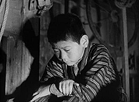 Le Fils Unique [DVD], 3