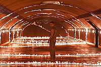 X-Men - Le commencement [DVD], 5