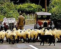 Detektiv Campion - Staffel 1 [DVD], 3