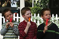 Desperate Housewives - Staffel 1 [DVD], 5