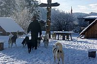 Der Husky Mann [Blu-ray], 2