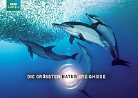 Die grössten Naturereignisse [DVD], 6
