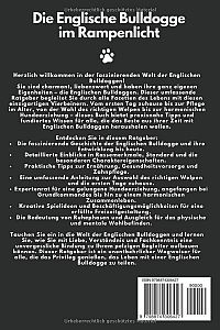 Englische Bulldogge, 1