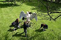 Cigarette burns [Blu-ray], 2