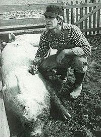 Zurück in die Vergangenheit - 2020er Edition [DVD], 4