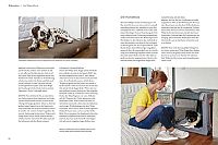 Welpentraining mit Martin Rütter, 4