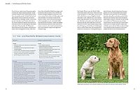 Welpentraining mit Martin Rütter, 2