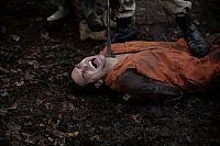 Territories [DVD], 4