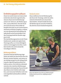 Zufrieden an der Leine, 6