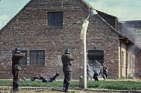 Die Grauzone [DVD], 3