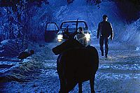 Jessica und das Rentier [DVD], 5