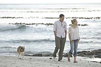 Ein Sommer in Long Island [DVD], 2