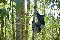 Planet Erde II [DVD], 4