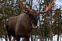 Norwegen 3D [Blu-ray 3D], 3