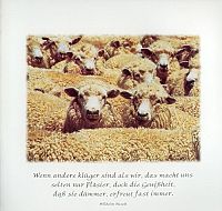 Tierisch gute Wünsche, 3