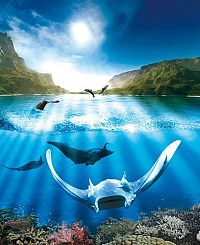 Azoren - Auf den Spuren von Entdeckern, Walen und Vulkanen [DVD], 1