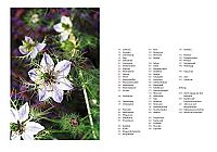 Praxishandbuch Frauenkräuter, 2