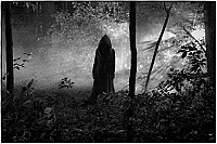 Im Bann der Hexe [Blu-ray], 1