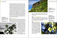 Der grosse Fotokurs: Besser fotografieren lernen , 7