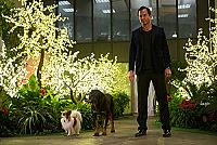 Show Dogs [Blu-ray], 4