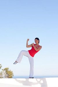 Das ultimative Core-Workout - Johanna Fellner Edition [DVD], 2