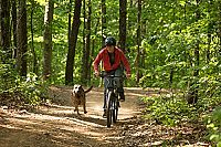 Max - Bester Freund. Held. Retter. [Blu-ray], 4