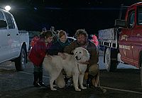 Oddball - Retter der Pinguine [DVD], 4