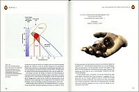 Das Universum in der Nussschale, 8