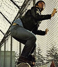 Vol au-dessus d'un nid de coucou [Blu-ray], 4