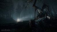 Blair Witch [Sony PlayStation 4], 5