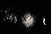 The Descent 2 - Die Jagd geht weiter [Blu-ray], 6